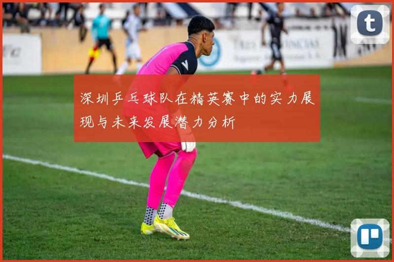 深圳乒乓球队在精英赛中的实力展现与未来发展潜力分析