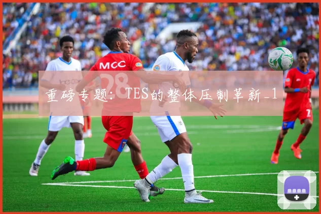 重磅专题：TES的整体压制革新_1