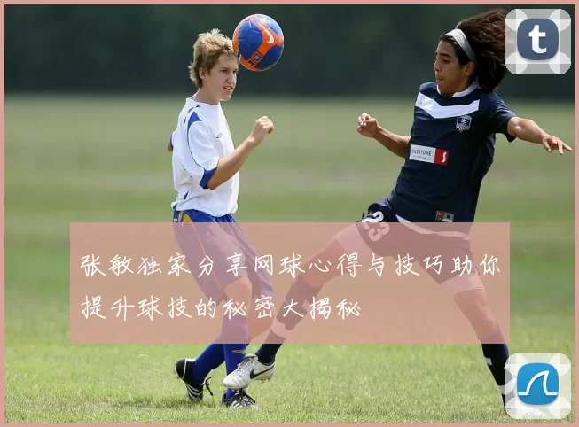张敏独家分享网球心得与技巧助你提升球技的秘密大揭秘