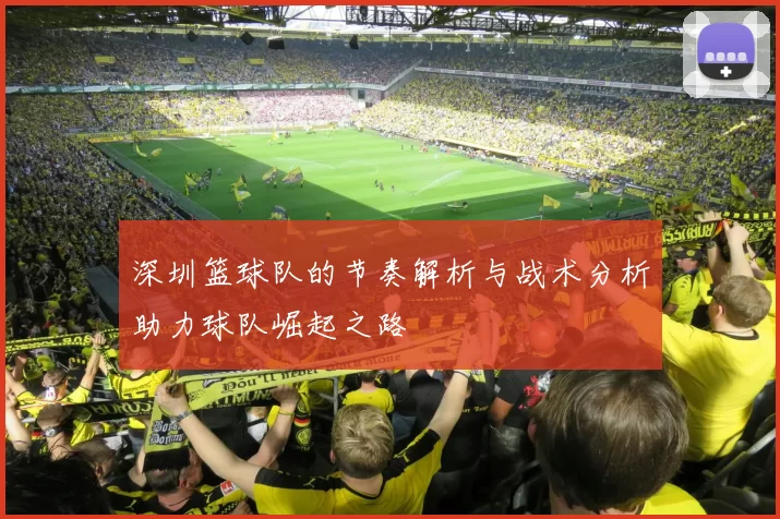深圳篮球队的节奏解析与战术分析助力球队崛起之路