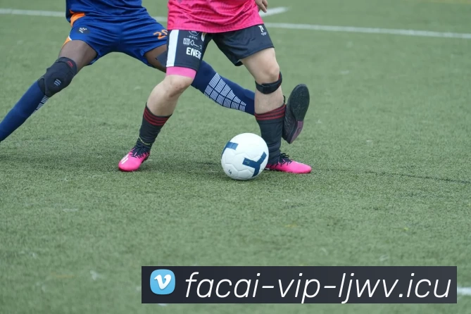 乐竞体育发展历程